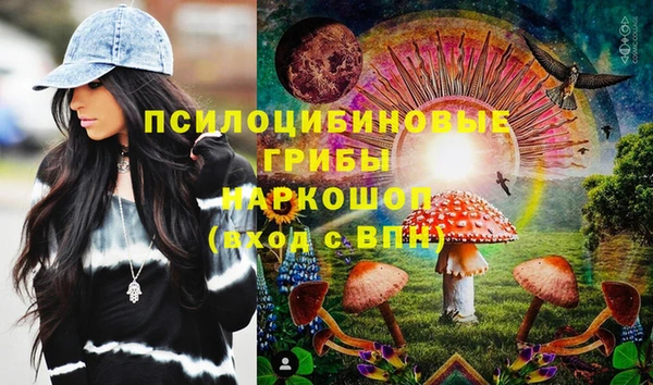 дживик Новокубанск