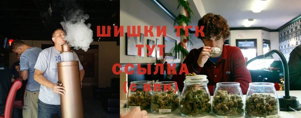 дживик Новокубанск