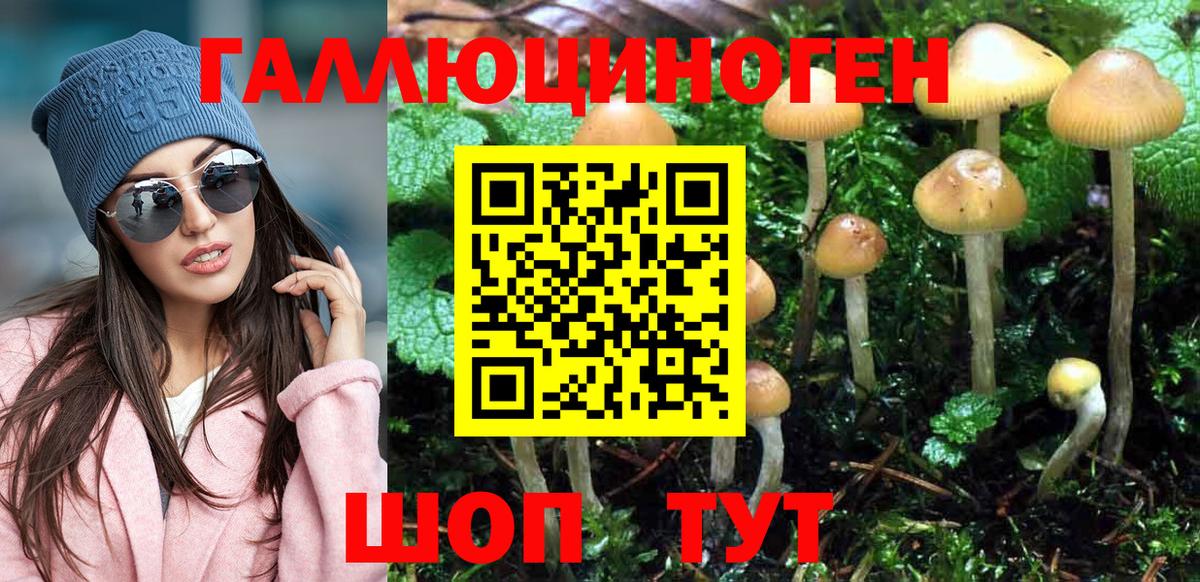 магазин  наркотиков  Вход с VPN  Краснокамск  Псилоцибиновые грибы прущие грибы 